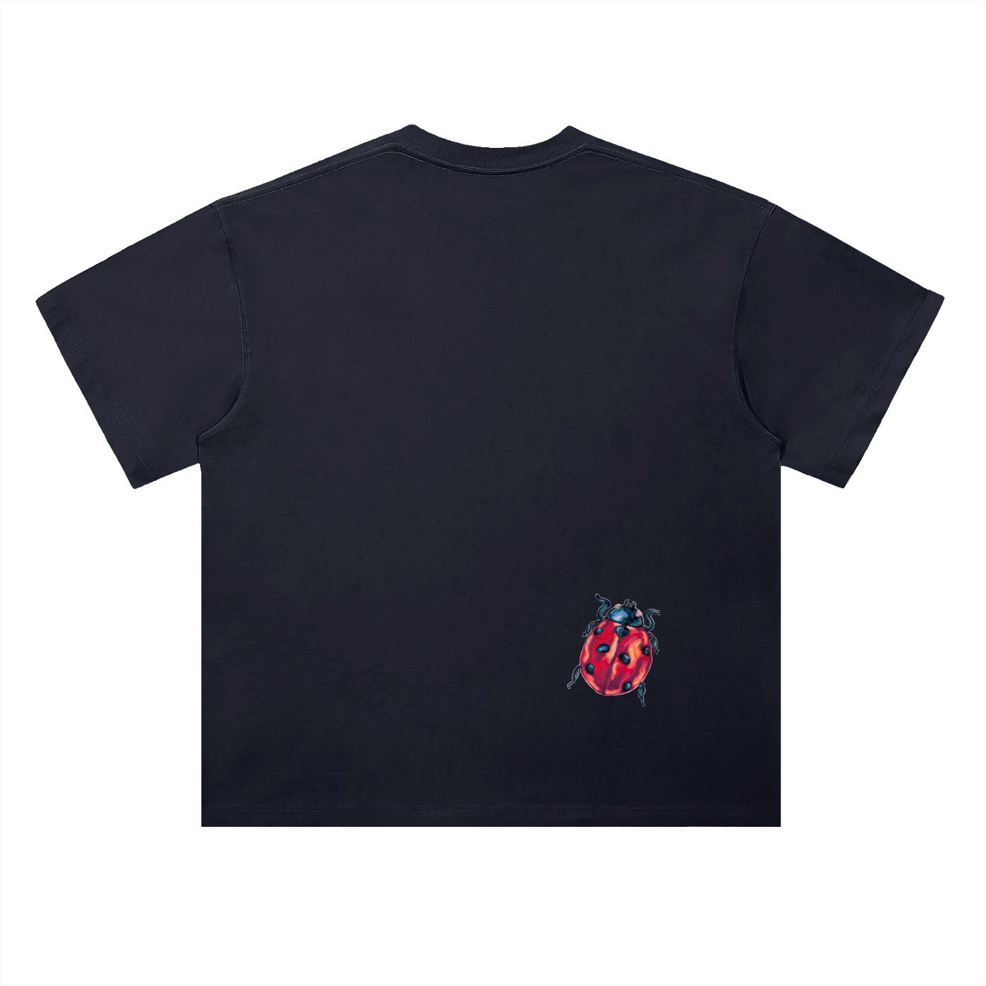 "a little ladybug" oversized tee