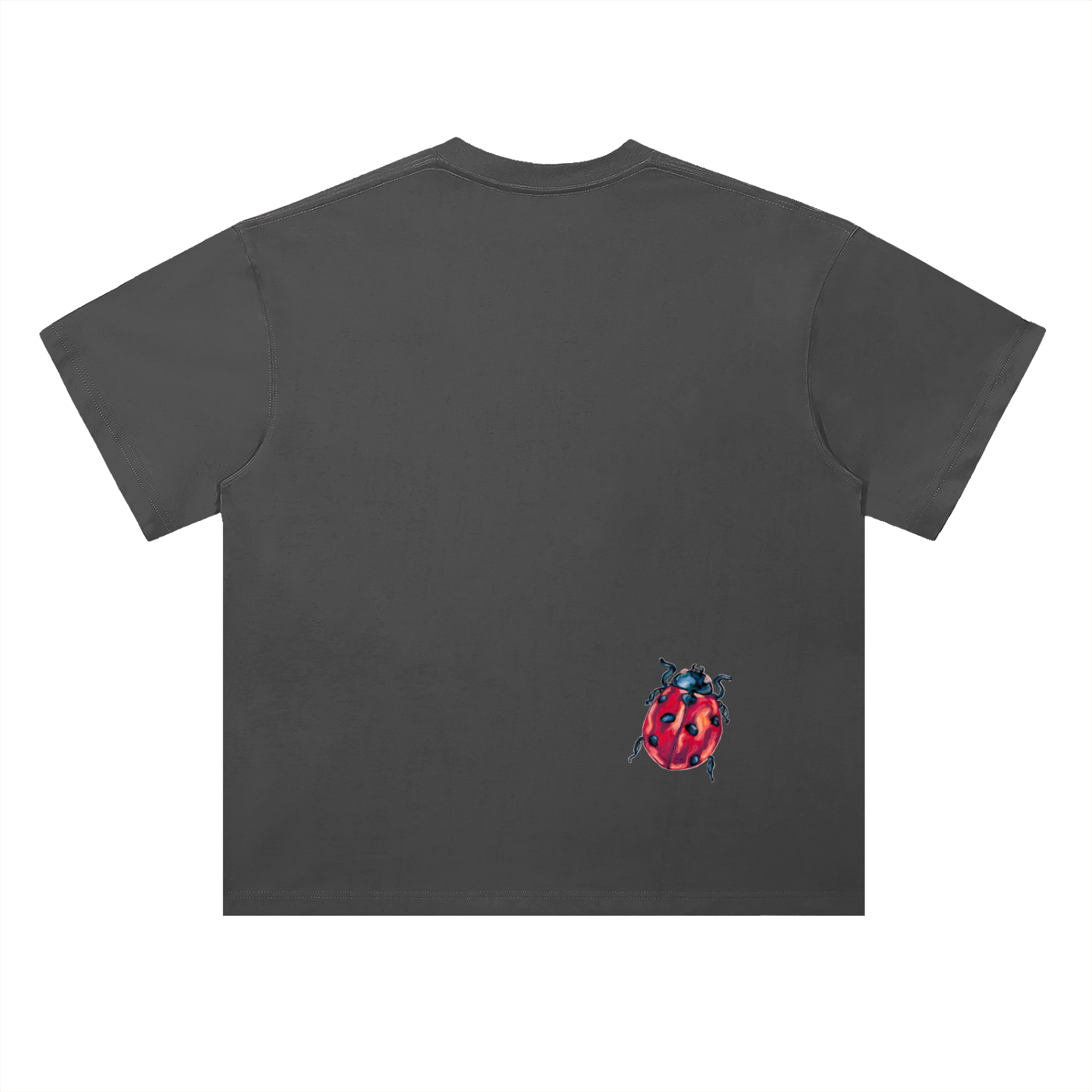 "a little ladybug" oversized tee