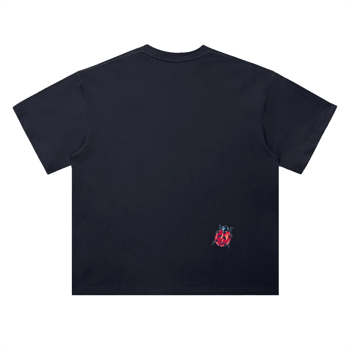 "a little ladybug" oversized tee