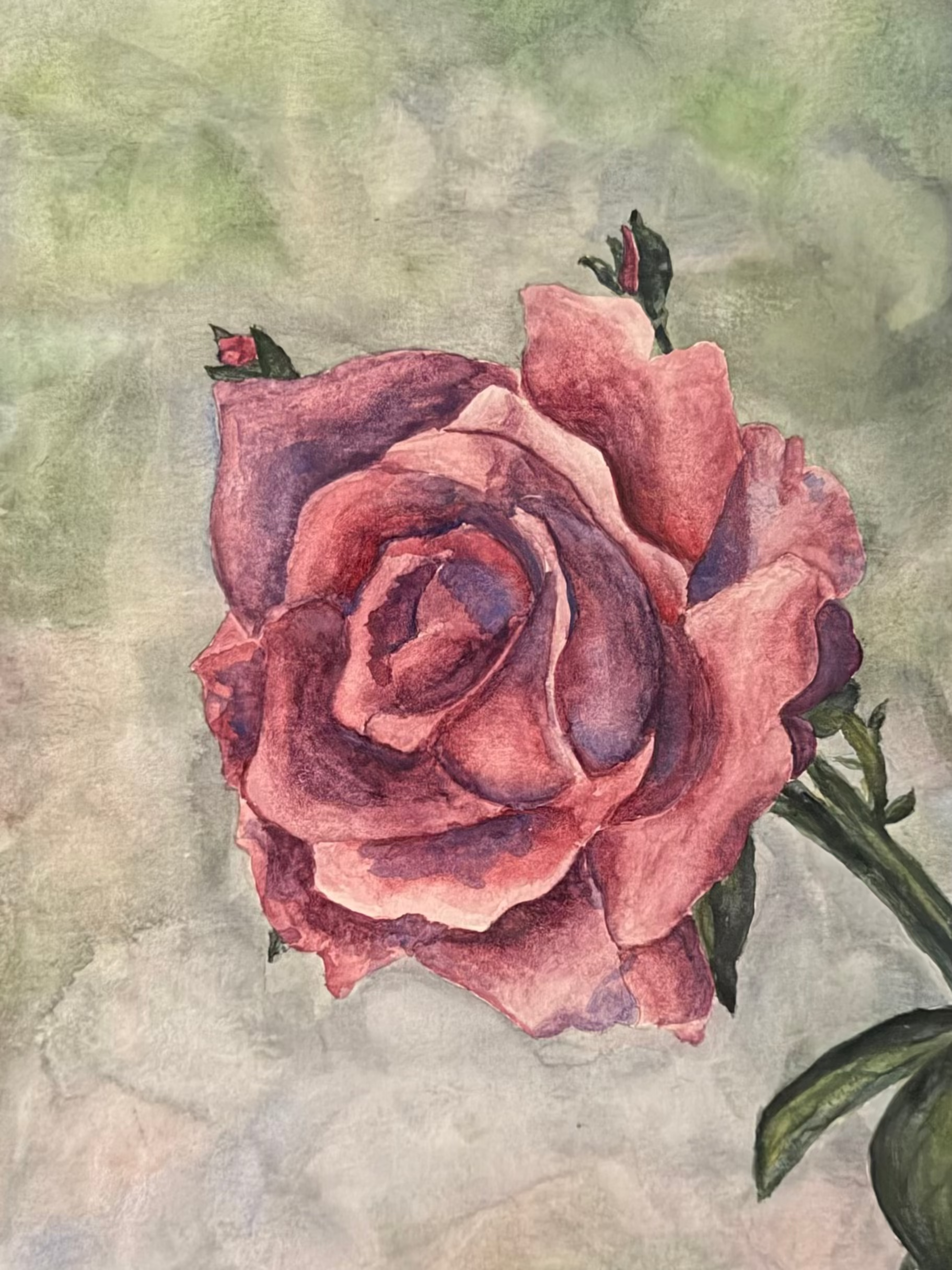 "rose" print