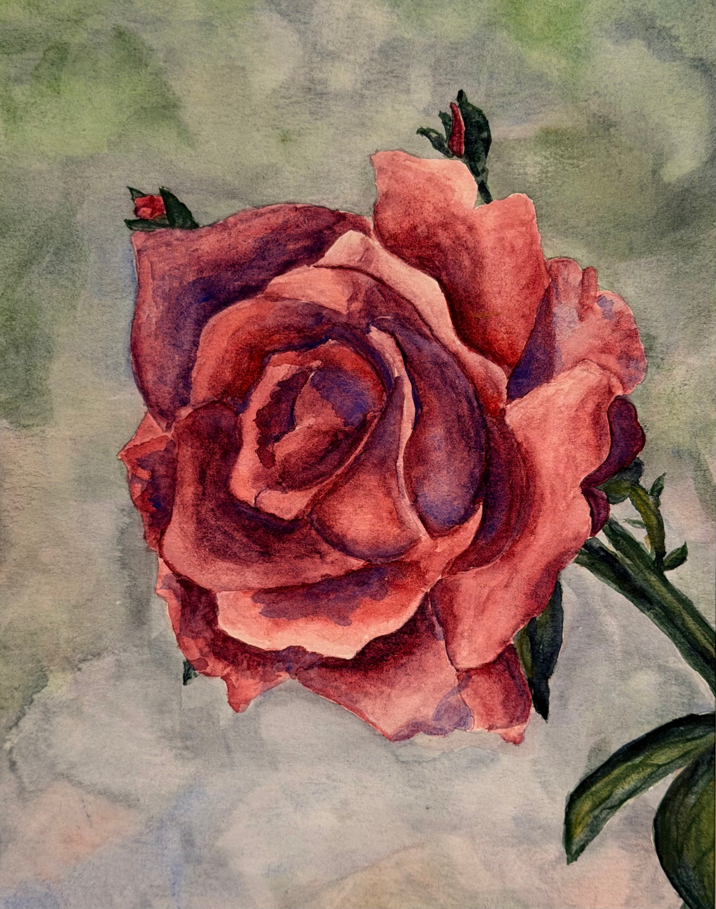 "rose"
