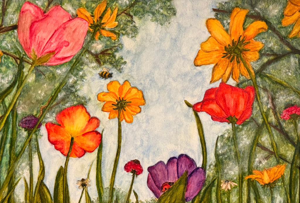 "a bug’s eye view"
