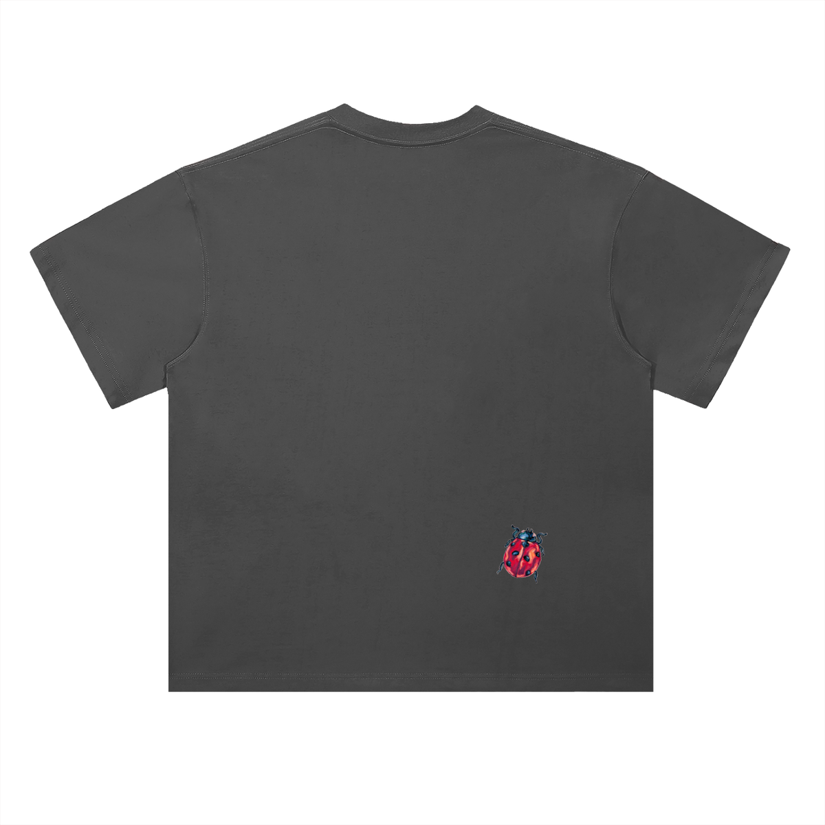 "a little ladybug" oversized tee